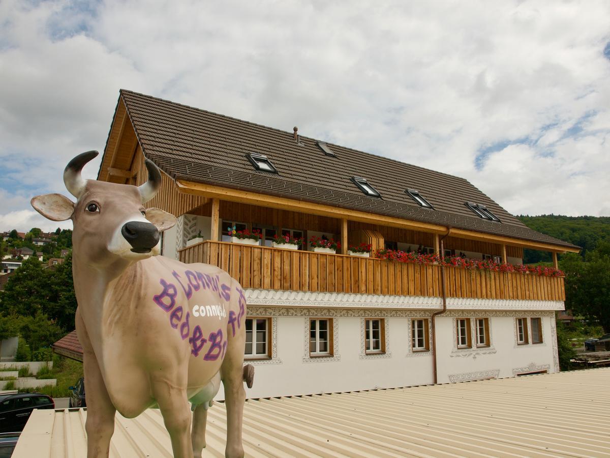 Conny'S B&B Niederweningen Eksteriør bilde