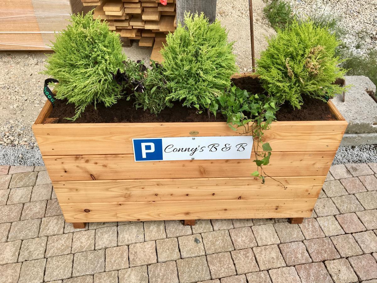Conny'S B&B Niederweningen Eksteriør bilde