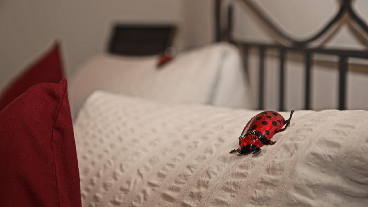 Conny'S B&B Niederweningen Eksteriør bilde